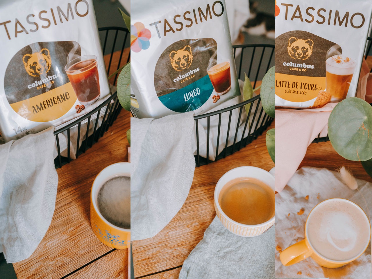 Café dosettes latte de l'ours goût speculoos COLOMBUS TASSIMO : le