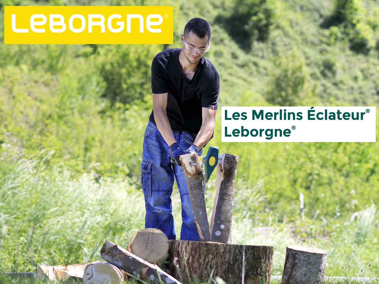 Merlin Eclateur Leborgne Securi-T, outil de coupe du bois - APCI - Agence  pour la promotion de la création industrielle